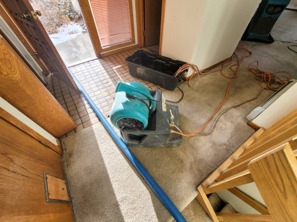 Best Commercial water damage restoration  in Haledon, NJ